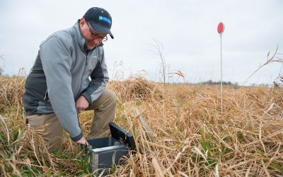 Drainage water recycling for crop production and water quality